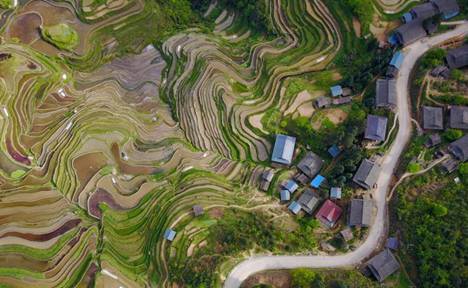 Terraced fields in Guizhou