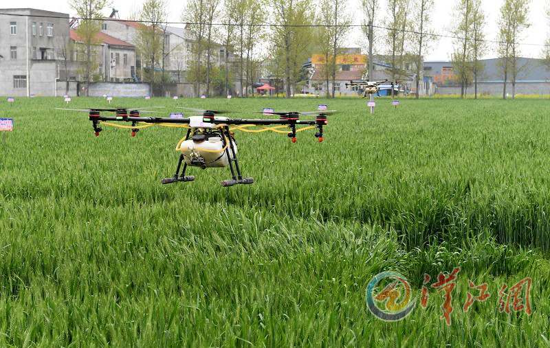 UAV helps with pest control in crops