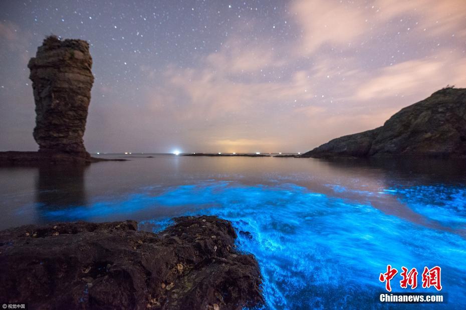 Seawater near Dalian turns fluorescent