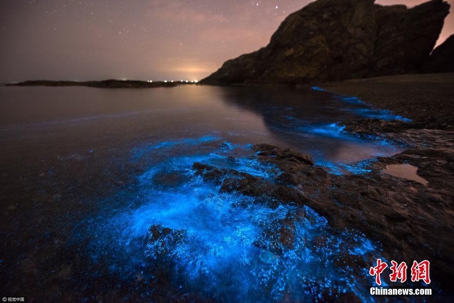 Seawater near Dalian turns fluorescent
