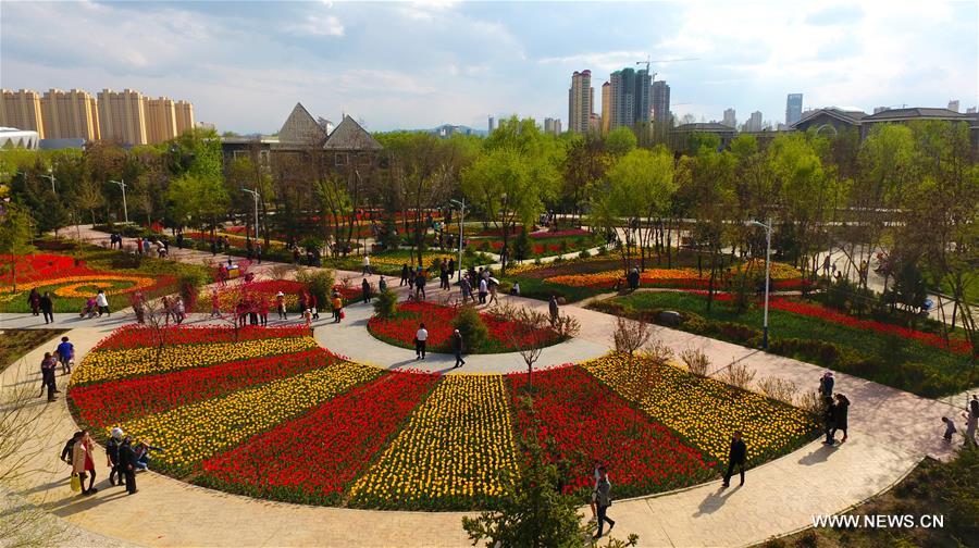 Visitors view tulip flowers in NW China's Gansu