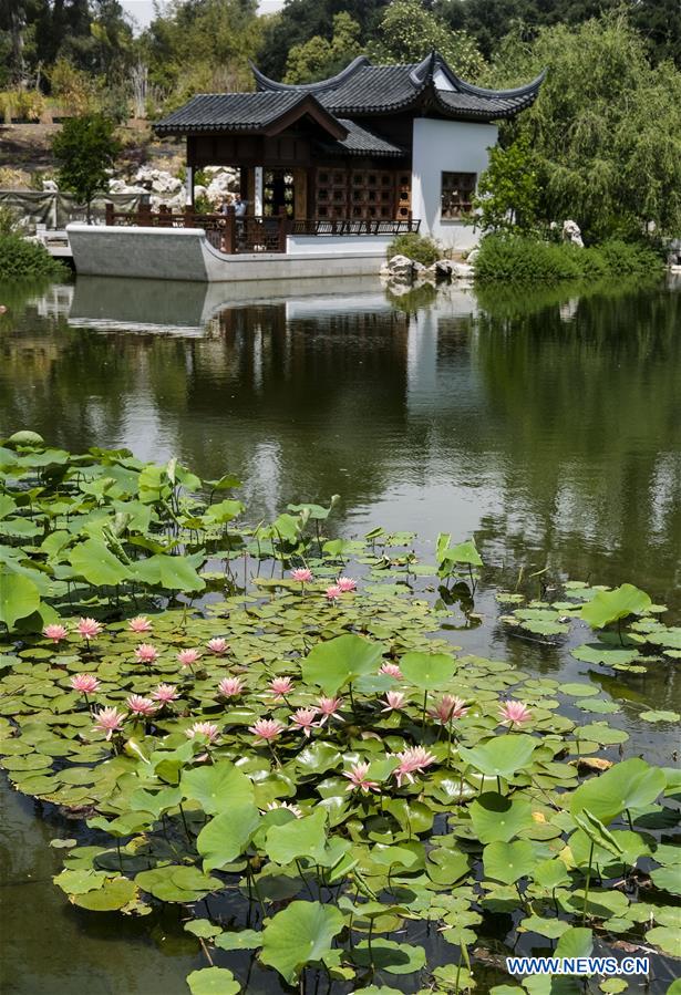 Scenery of Chinese garden Liu Fang Yuan in Los Angeles