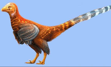 ‘Giant chicken with teeth’ dinosaur fossil discovered in China