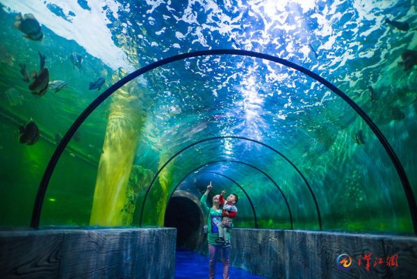 Xiangyang Underwater World Opened