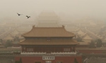 $13.7b earmarked to control sources of sandstorms hitting Beijing, Tianjin