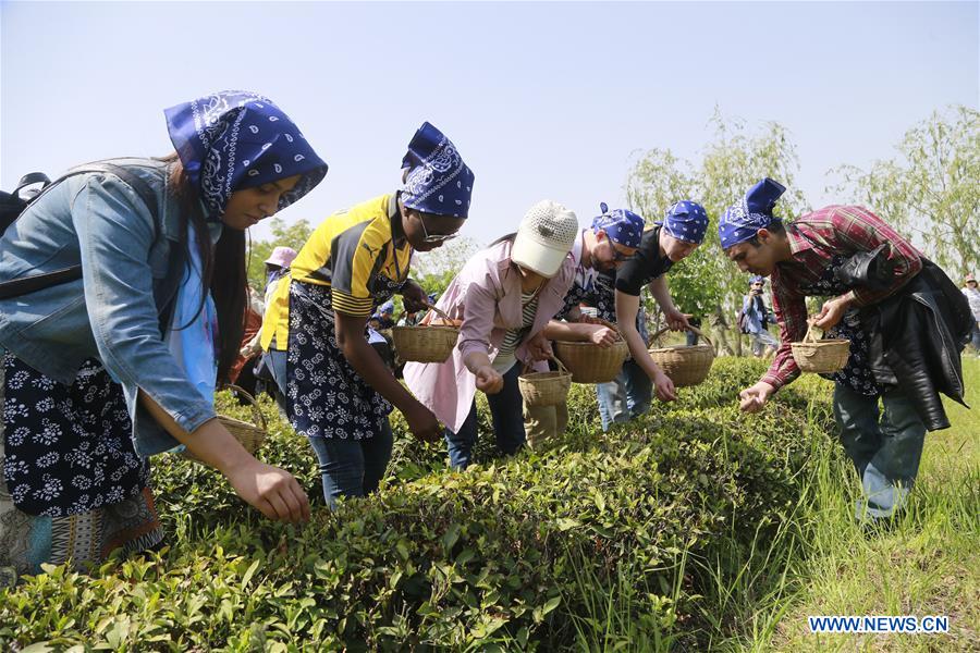 Foreign students experience Chinese tea culture in E China