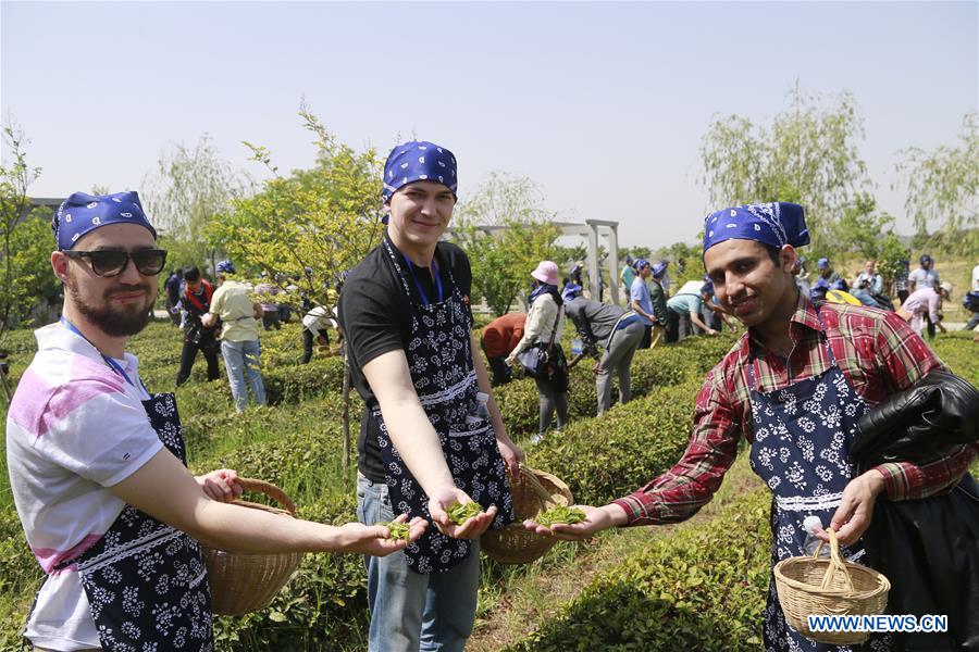 Foreign students experience Chinese tea culture in E China