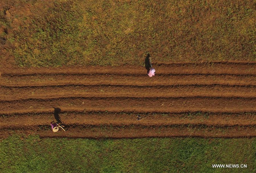 Villagers work in farmlands across China