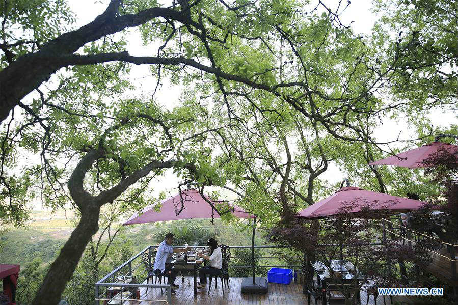 Hot pot restaurant in Chongqing jujube forest