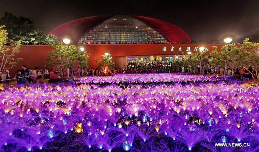 10,860 lights illuminated in Beijing to greet Belt and Road Forum