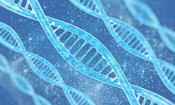 Study: small DNA marker set helpful, but raises privacy concerns