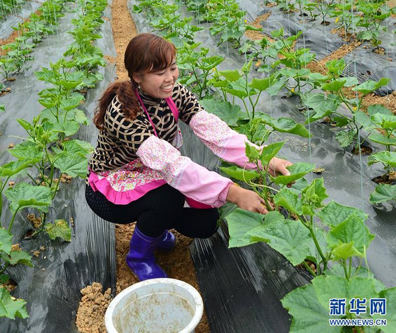 Farmers in southwest China benefit from poverty alleviation efforts