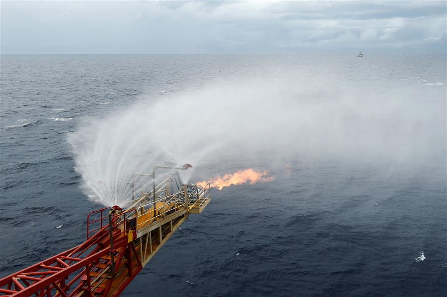 China has huge potential for combustible ice resources: experts
