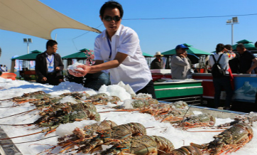 Fresh from Gwadar Port: Landlocked Xinjiang feasts on fresh deep-sea fish
