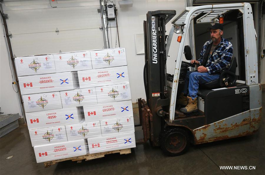 Canada launches live lobster quality project agreement with China