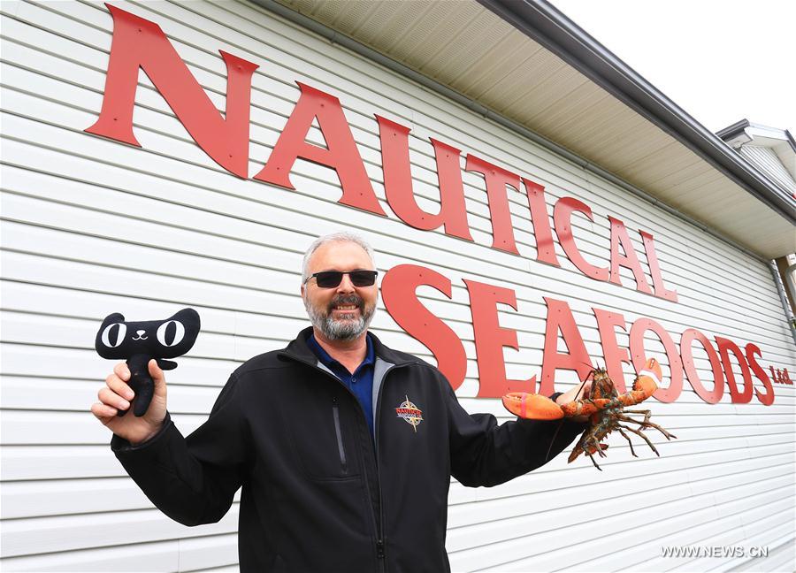 Canada launches live lobster quality project agreement with China