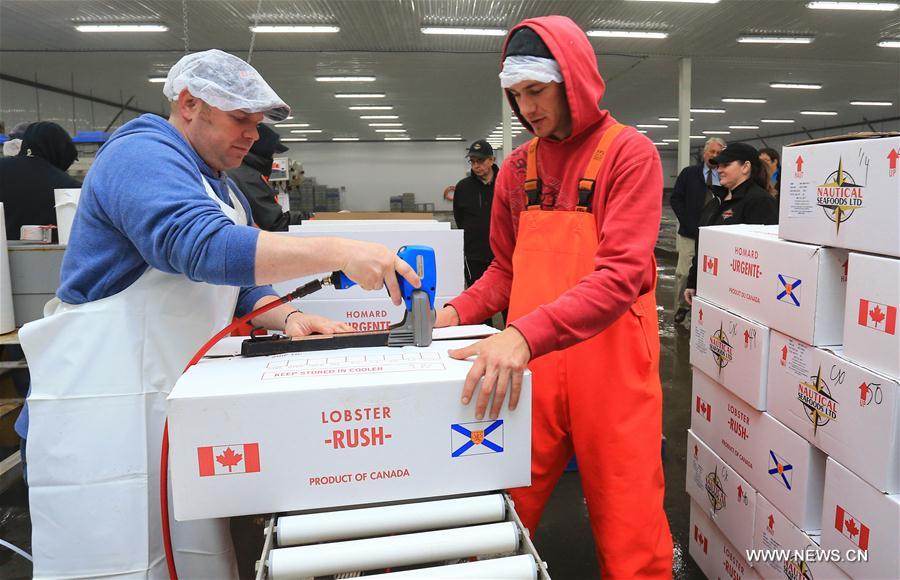 Canada launches live lobster quality project agreement with China