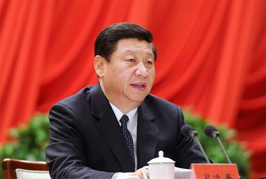 Xi's reform methods