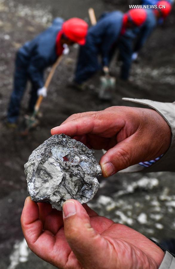 Systematic excavation of dinosaur fossils launched in NE China