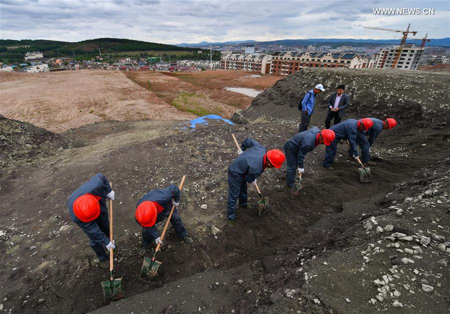 Systematic excavation of dinosaur fossils launched in NE China