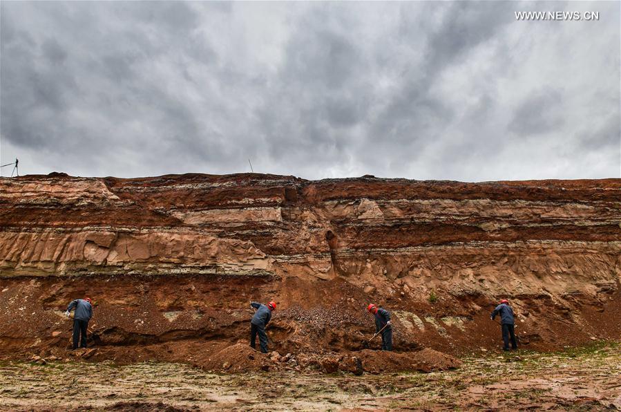 Systematic excavation of dinosaur fossils launched in NE China