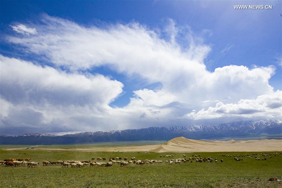 Scenery of Tianshan mountain scenic area at Hami in China's Xinjiang