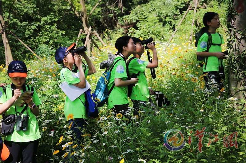 Xiangyang Hosts Bird Watching Competition for  Primary & Secondary School Students
