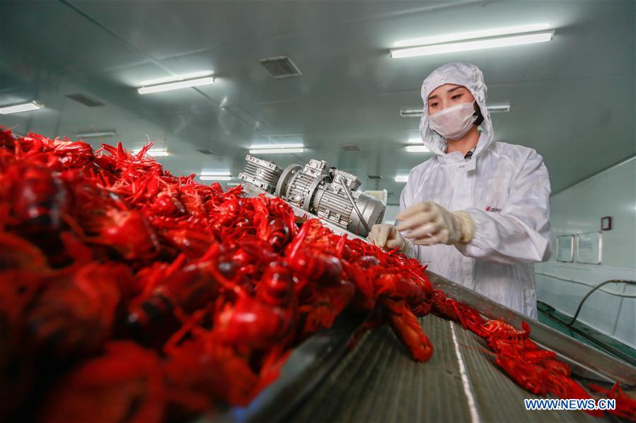 Annual output value of crayfish surpasses 1.47 billion USD in China