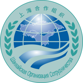 Shanghai Cooperation Organization to play bigger role after welcoming new members