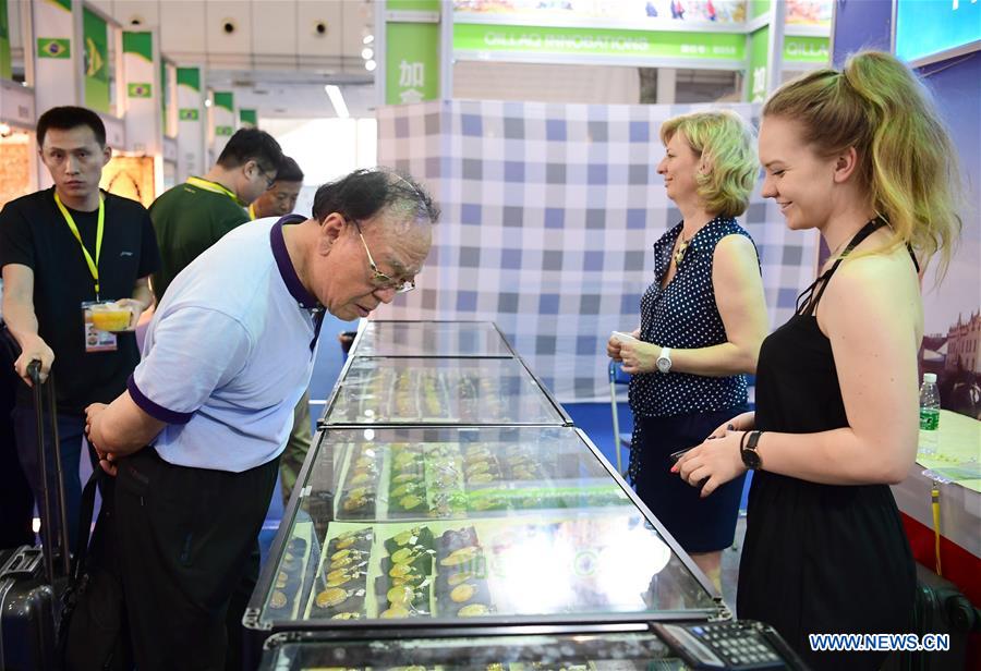 2017 Silk Road International Exposition held in NW China's Shaanxi