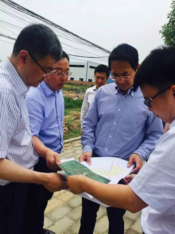 Yang Renhua inspects plots proposed for major projects