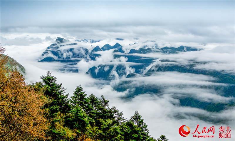 Natural heritage site Shennongjia hailed for balanced protection, development