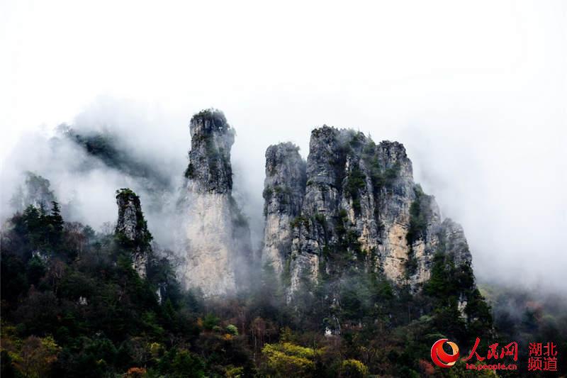 Natural heritage site Shennongjia hailed for balanced protection, development
