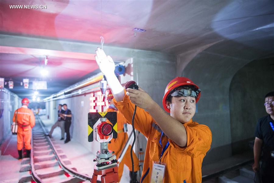 Professional skills contest held in SW China's Chongqing