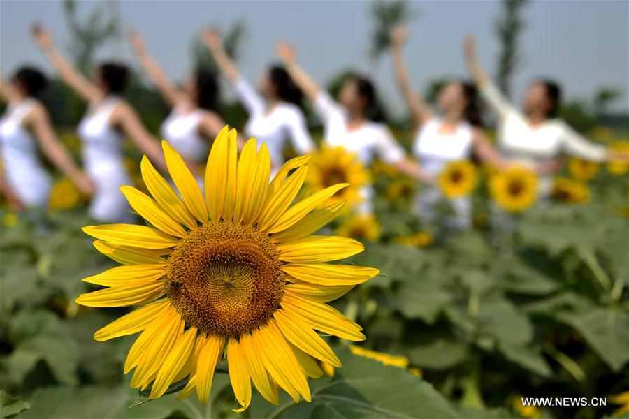 International Yoga Day celebrated in China