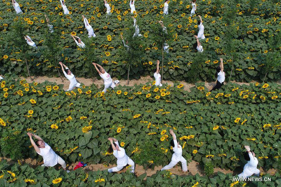 International Yoga Day celebrated in China