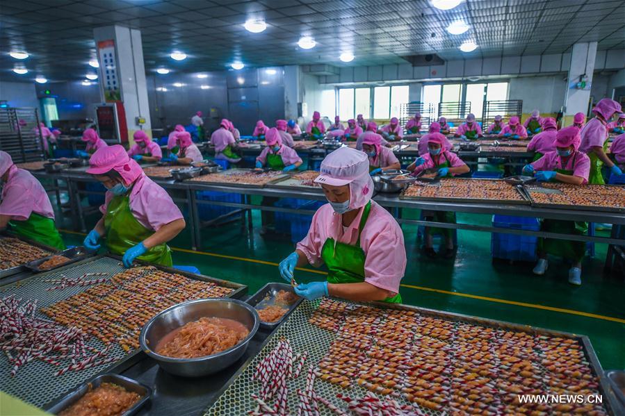 Output of pet industry of E China's Pingyang reaches 3 bln yuan in 2016