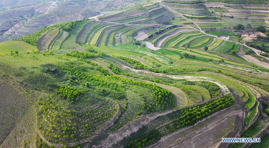 In pics: terraces in NW China