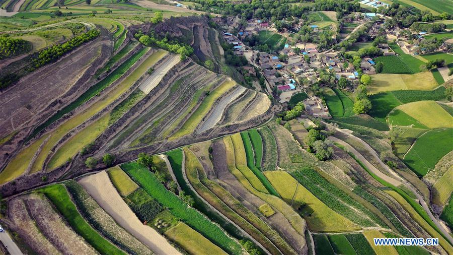 In pics: terraces in NW China