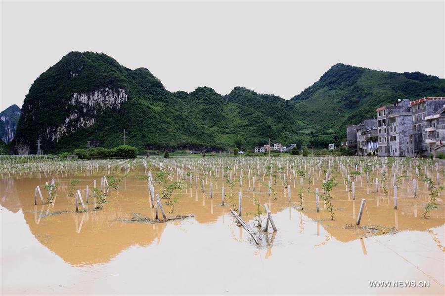 Torrential rain hits south China's county, causing flood