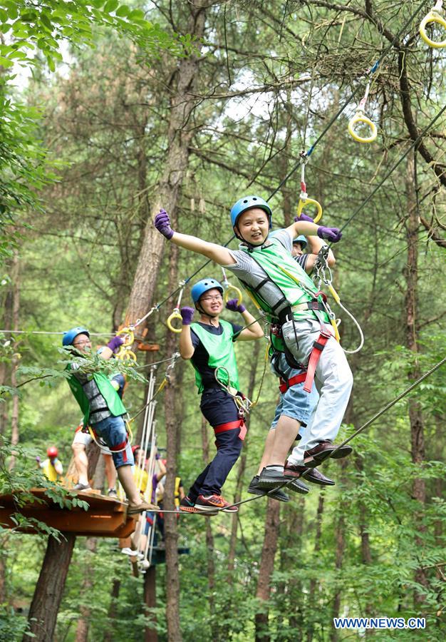 In pics: treetops adventure on mountain in China's Sichuan