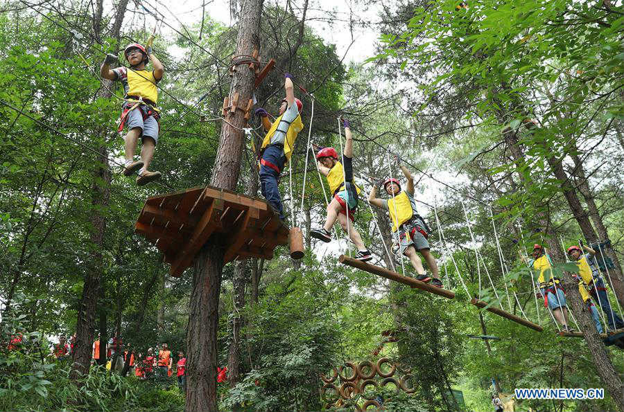 In pics: treetops adventure on mountain in China's Sichuan
