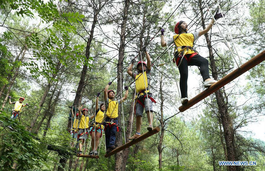 In pics: treetops adventure on mountain in China's Sichuan
