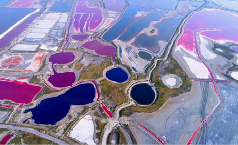 Yanhu lake transforms into muti-colored pools