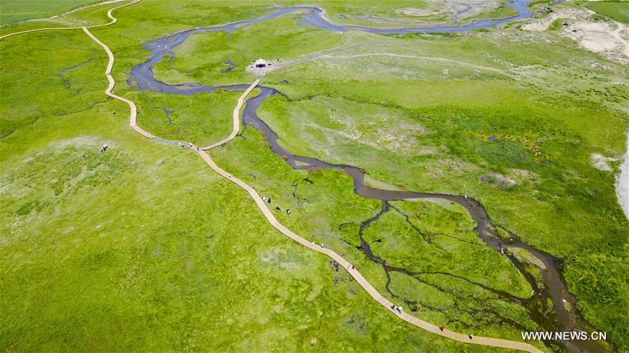 Tourists enjoy beauty of wetland in China's Xinjiang