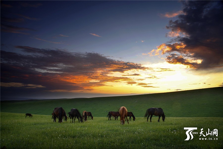 Picturesque summer scenery of Tuohulasu Prairie in Xinjiang