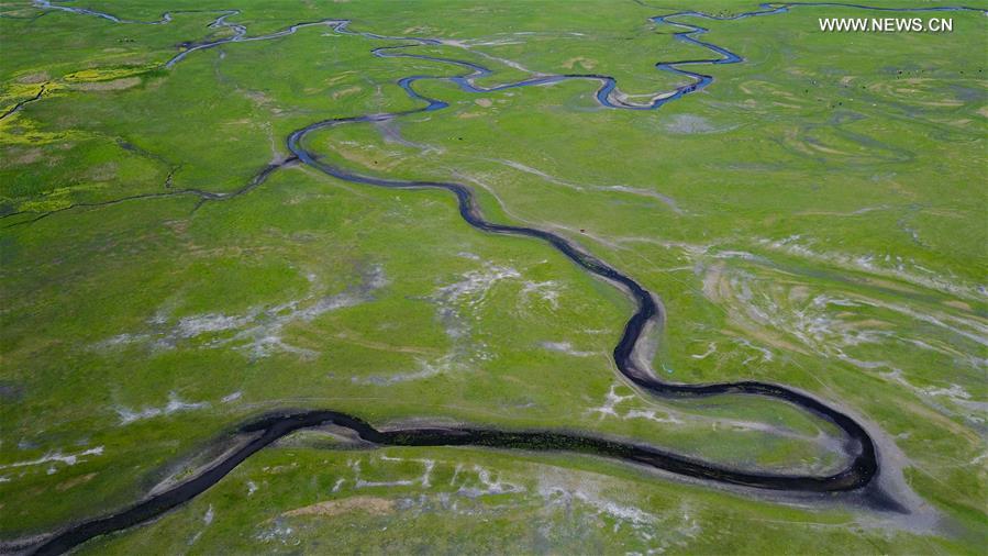 Aerial view of Hulun Buir grassland in north China's Inner Mongolia