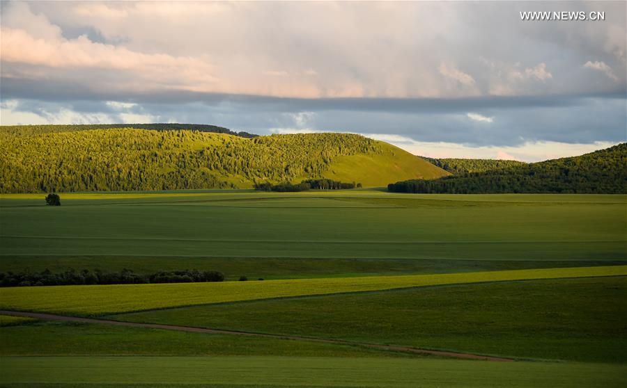 Aerial view of Hulun Buir grassland in north China's Inner Mongolia