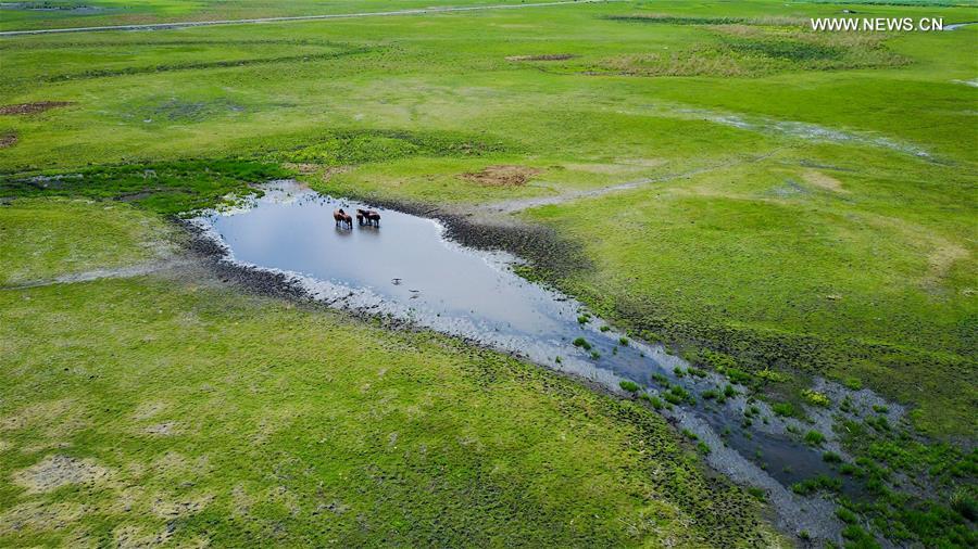 Aerial view of Hulun Buir grassland in north China's Inner Mongolia