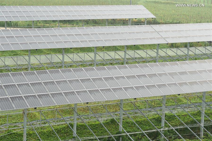 General view of solar greenhouses in SE China's Fujian